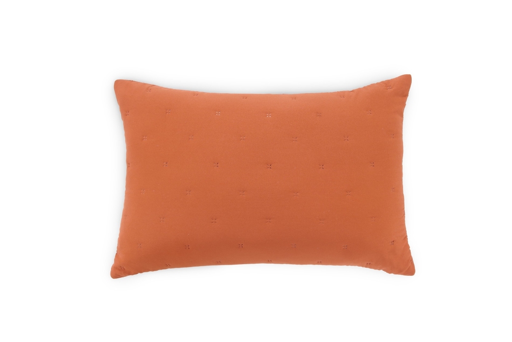 FC Daisy Cushion Terracotta D Yq