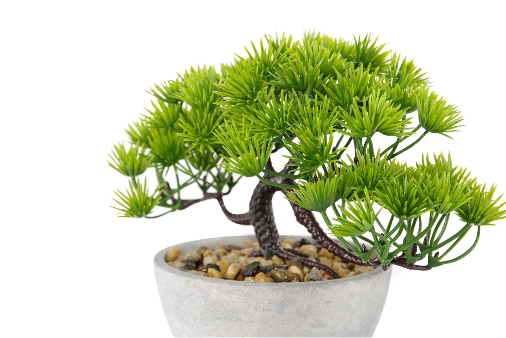 FC Five Needle Faux Bonsai