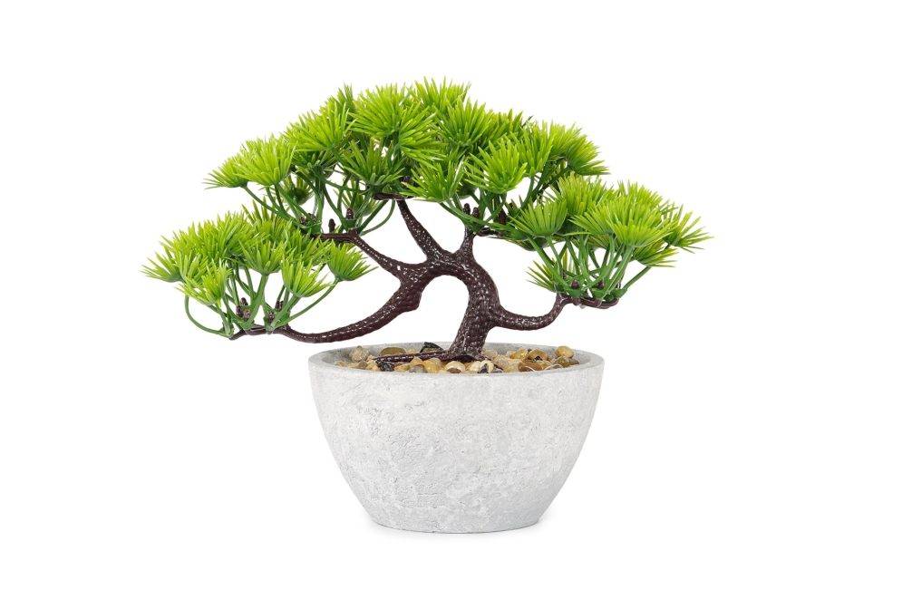 FC Five Needle Faux Bonsai X H