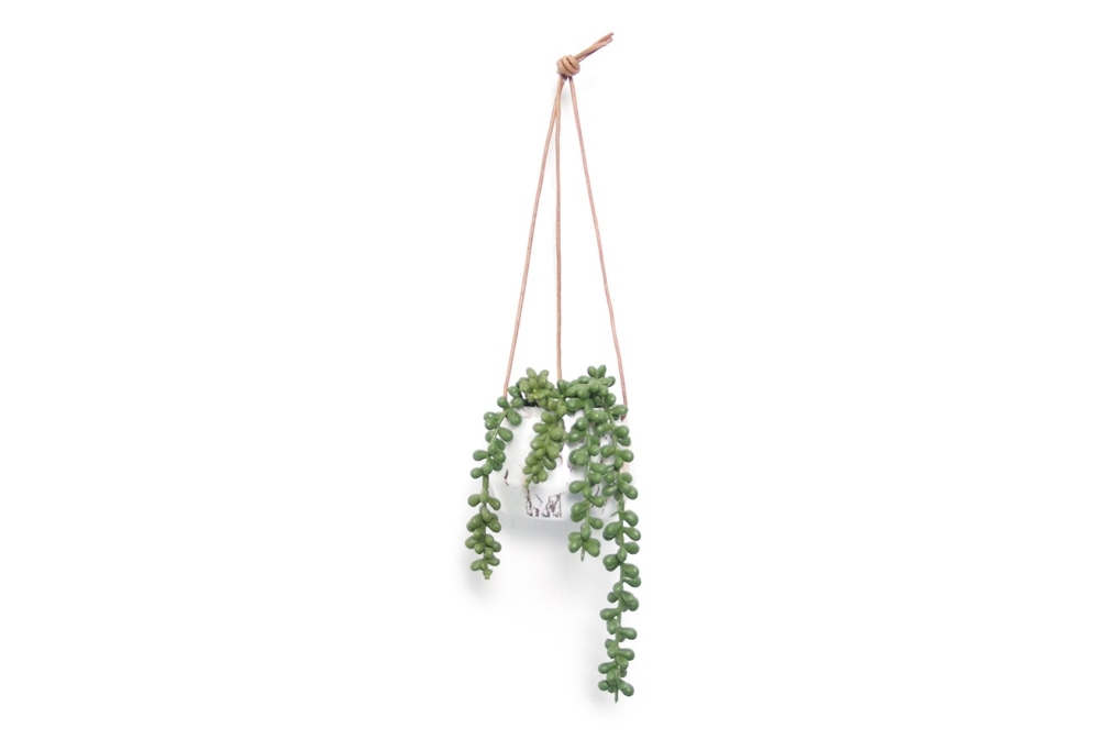 Monterey Hanging Planter LS