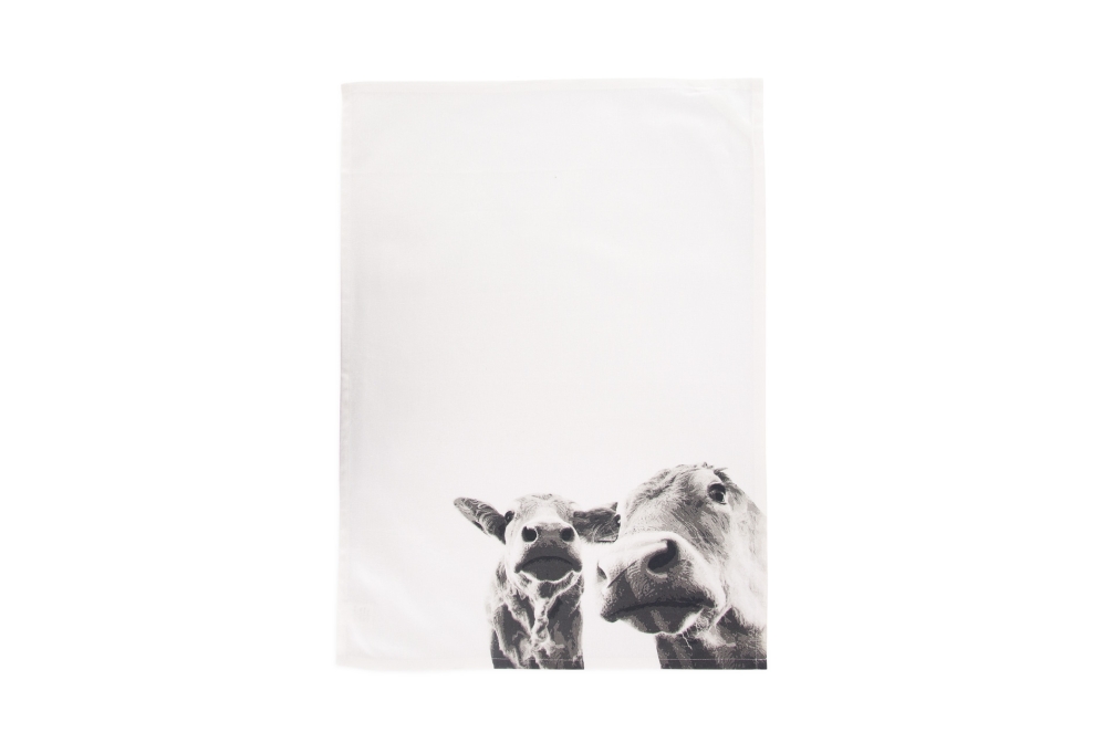 FC Cows Tea Towel Qq Wl