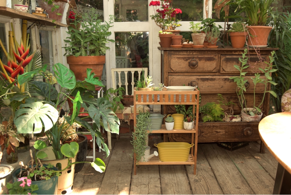 Hana Walnut Plant Stand Bromley LS