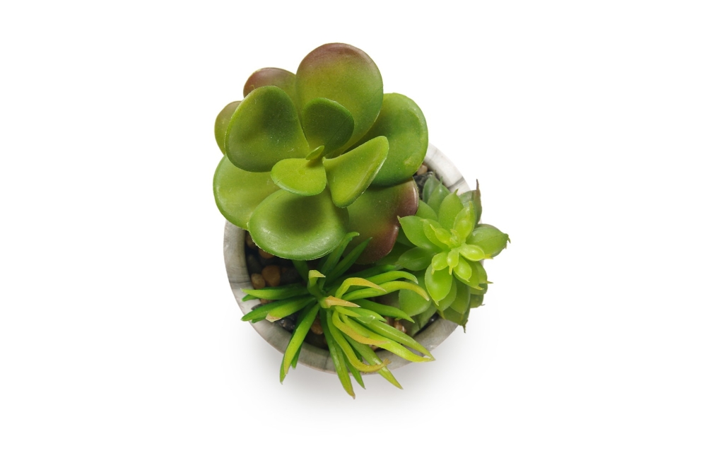 FC Marble Garden Green Faux Plant