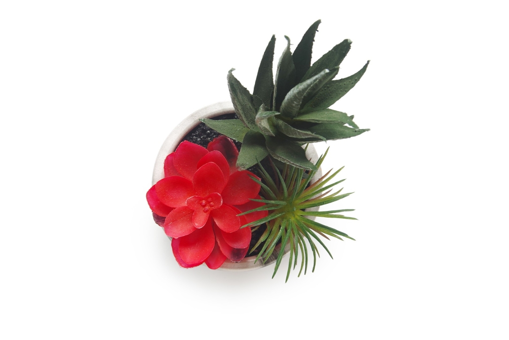 FC Marble Garden Red Faux Plant