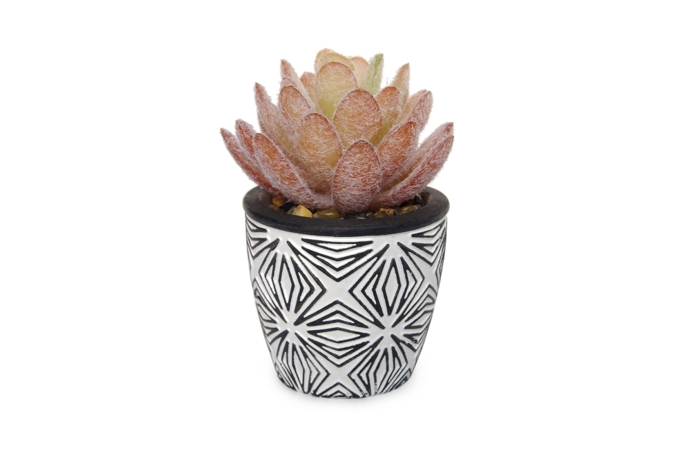 FC Mini Fire Cracker Succulent Faux Plant