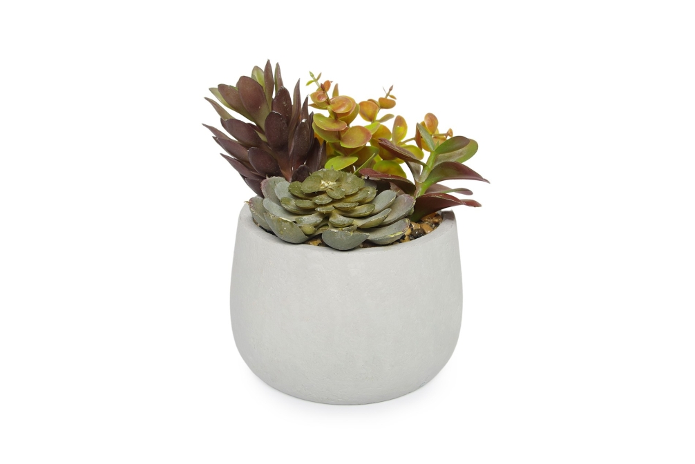 FC Panamint Succulent Garden Plum Faux Plant