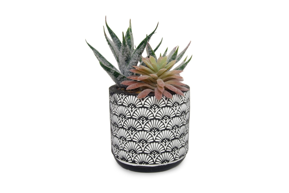 FC Sonaran Garden Fuzzy Haworthia Faux Plant