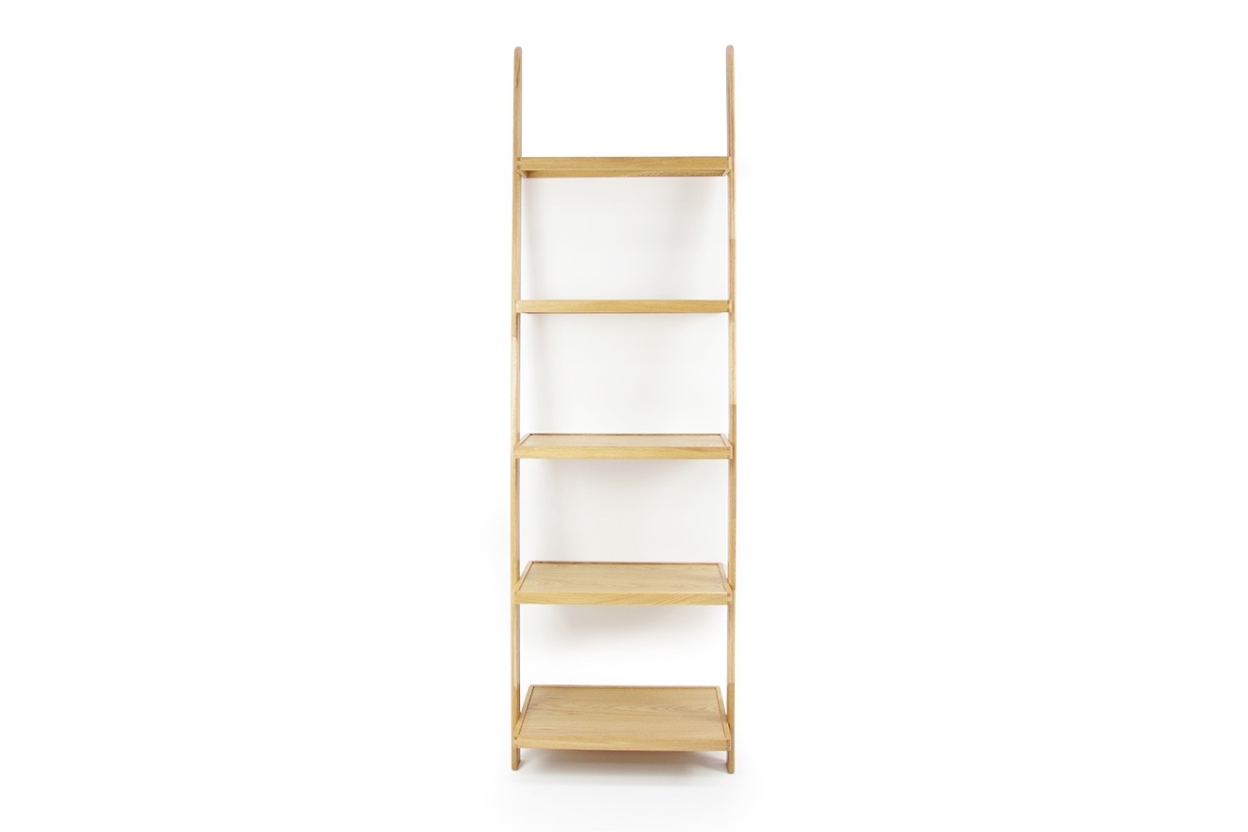 Oak Leaning Ladder Shelves