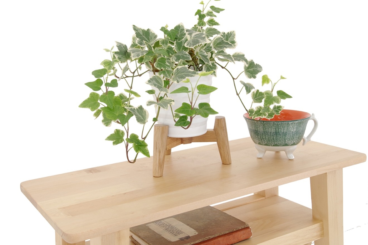 FC Mini Pod Plant Stand