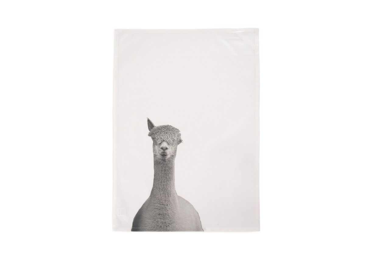 FC Alpaca Tea Towel