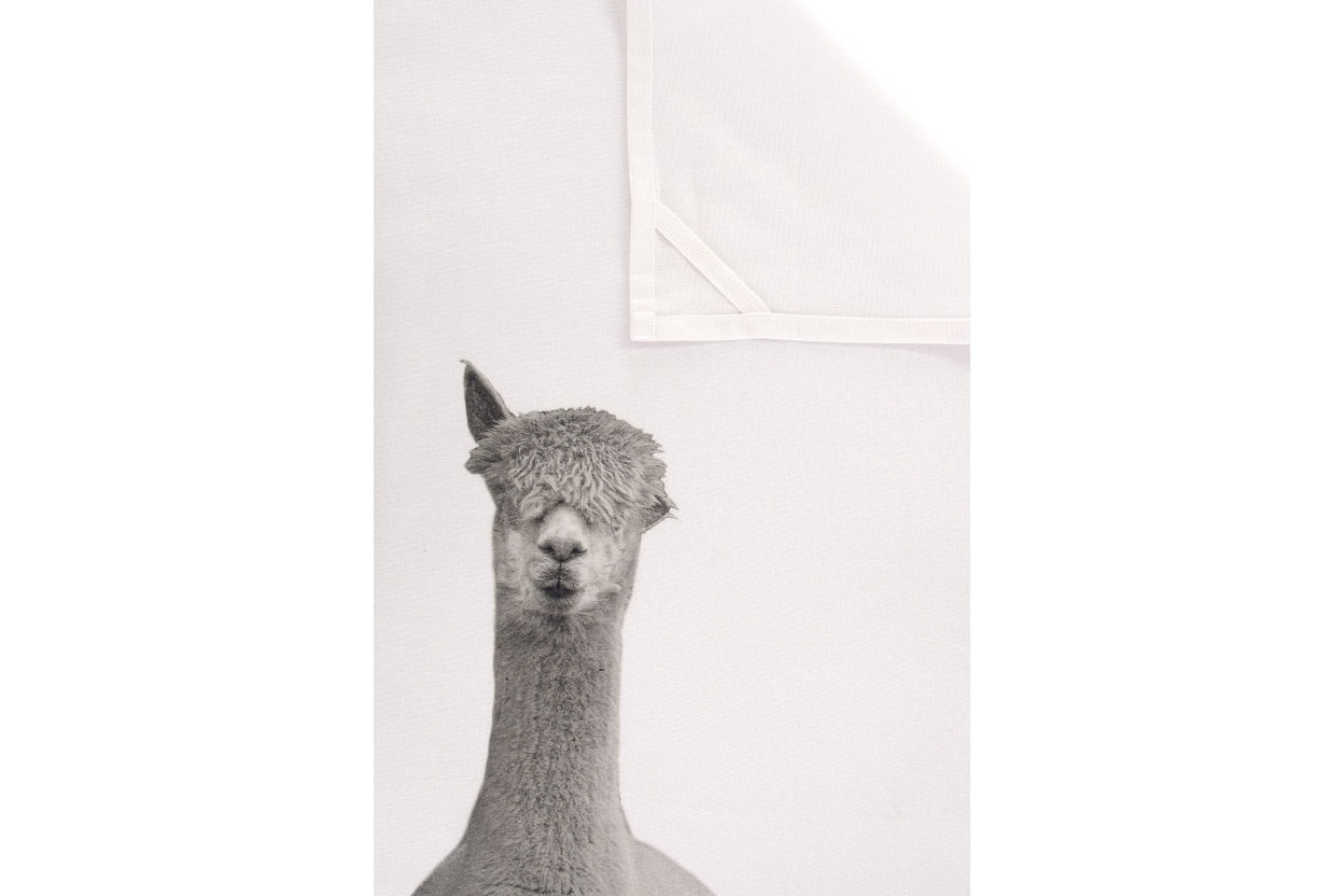 FC Alpaca Tea Towel