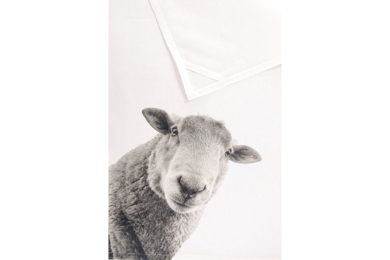 FC Sheep Tea Towel