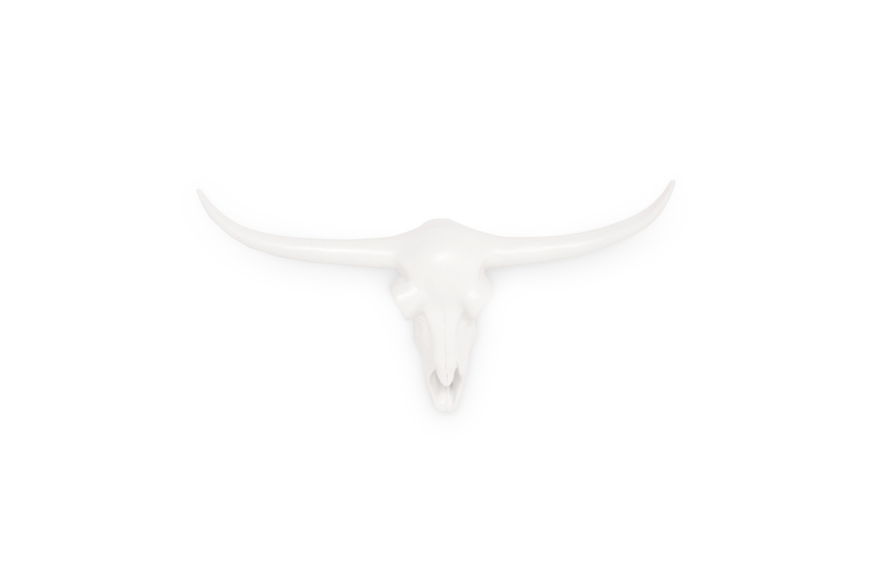 Long Horn (tiny)