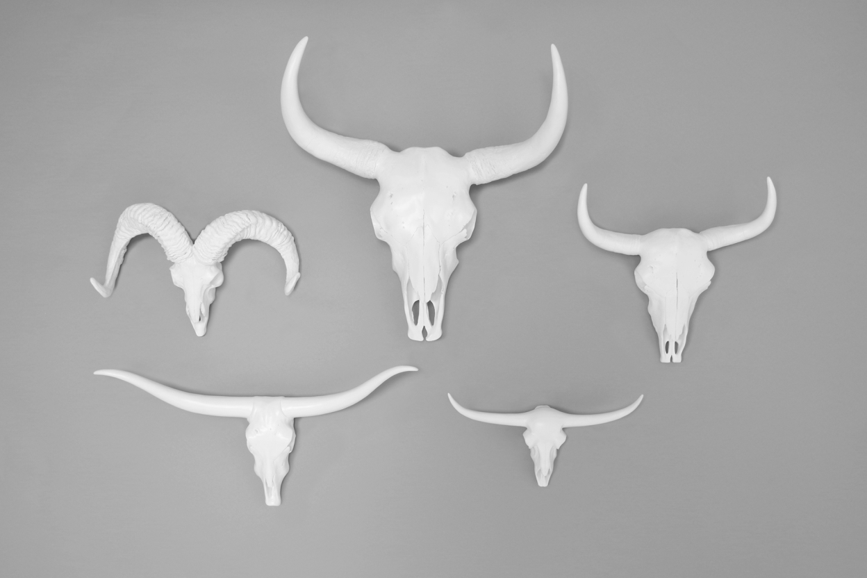 Animal Heads