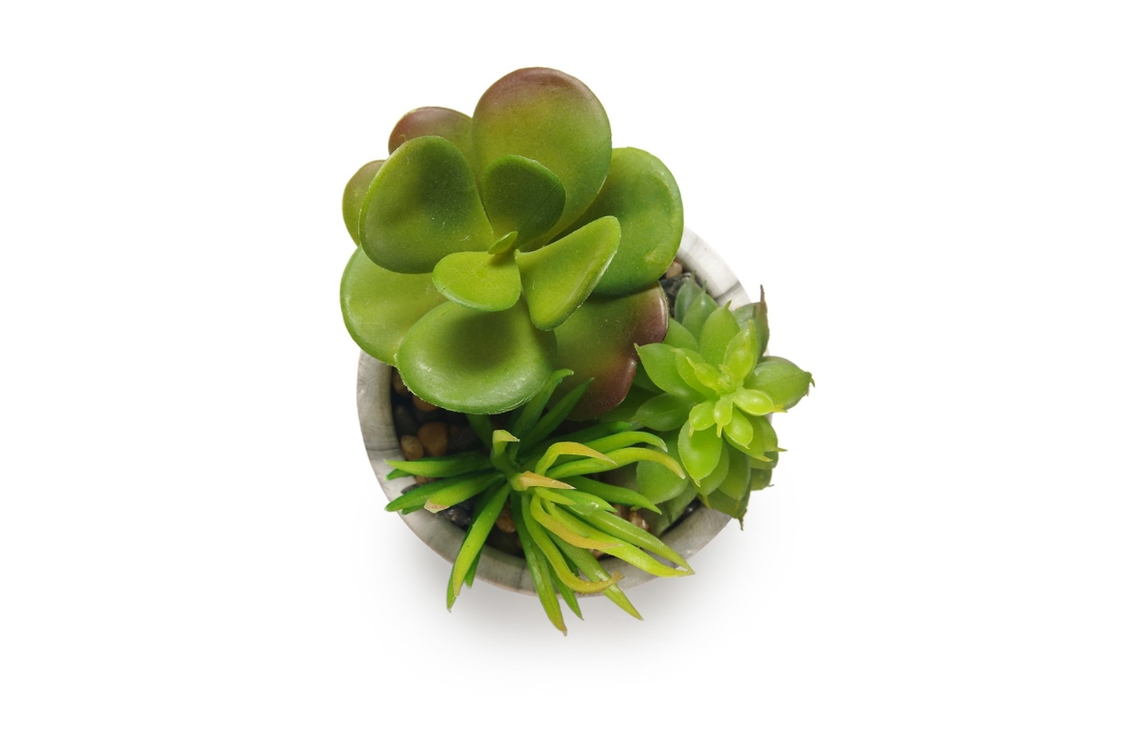 FC Marble Garden Green Faux Plant