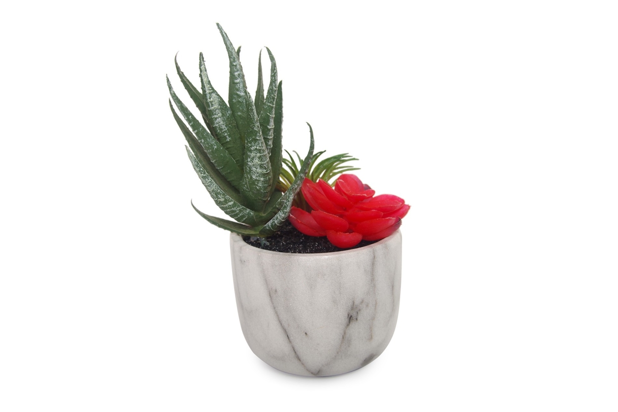 FC Marble Garden Red Faux Plant