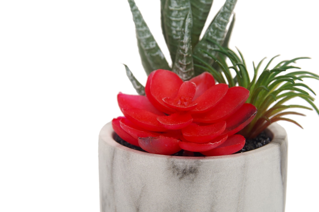 FC Marble Garden Red Faux Plant