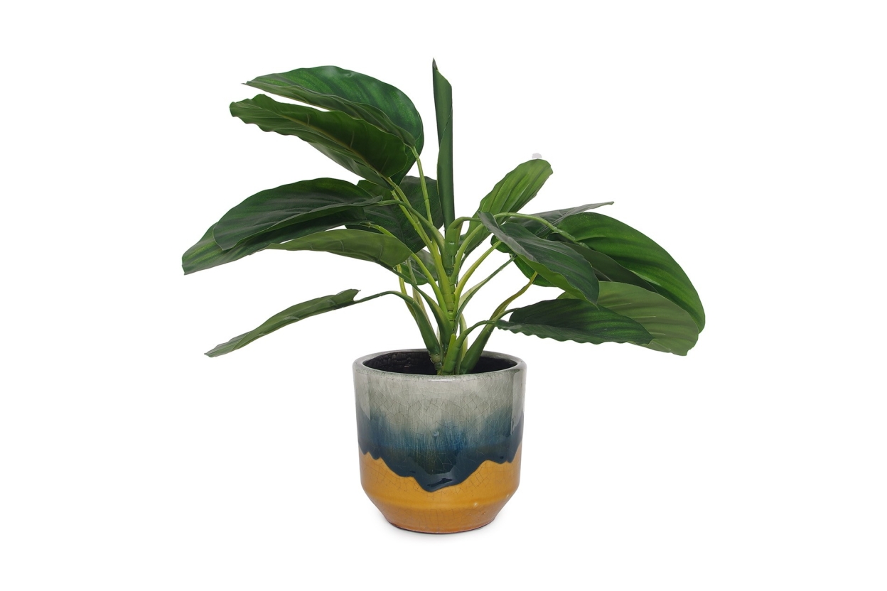 FC Frida Small Plant Pot