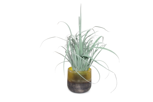 FC Nerj Plant Pot Sauterne