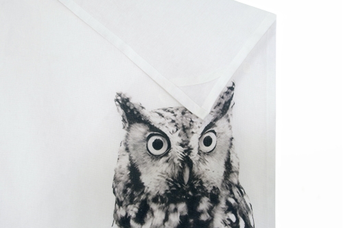 FC Owl Tea Towel