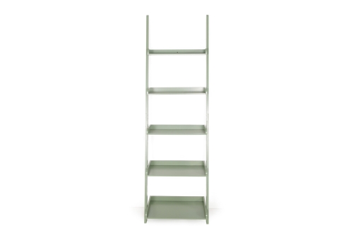 Ladder Shelf (Olive Green)