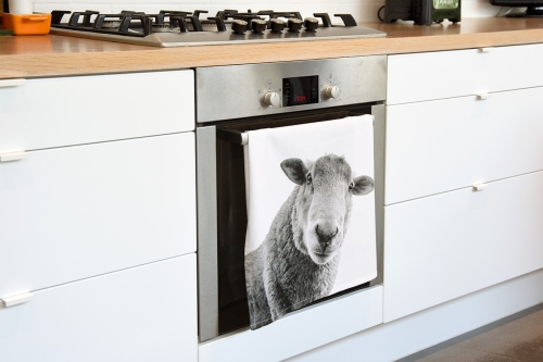 Tea Towel Sheep