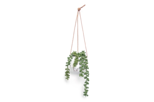 Monterey Hanging Planter LS