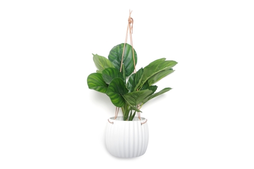 Morro Hanging Planter LS