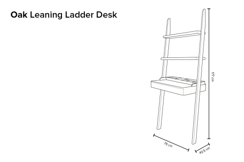 Ladder Desk An X