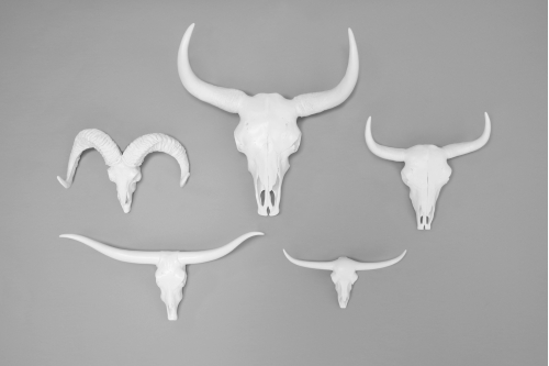 Animal Heads