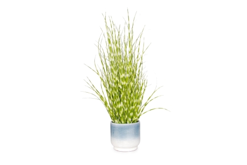 Elowen Plant Pot (Medium)