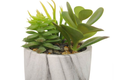 FC Marble Garden Green Faux Plant