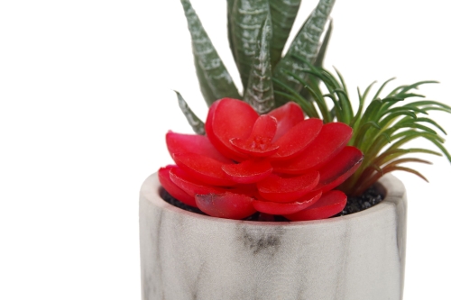 FC Marble Garden Red Faux Plant